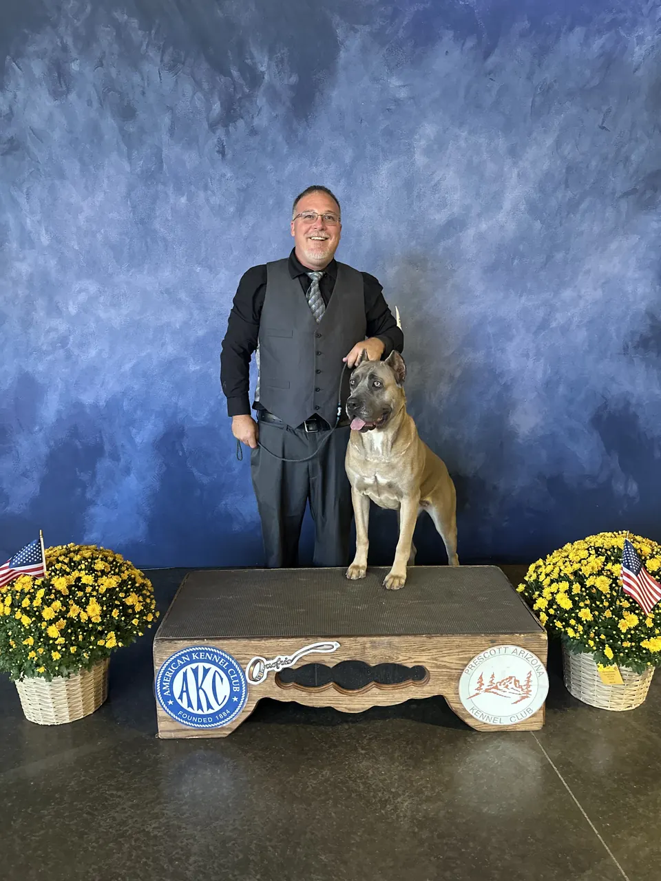 Fawn Cane Corso posing with her handler after an AKC show win